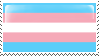 Transgender flag